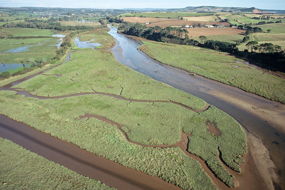 s960_Lower_Otter_Estuary_saltmarshes