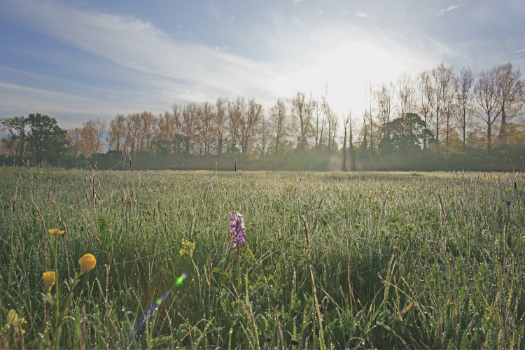 WEBSITE IMAGES 750 x 500px (5)