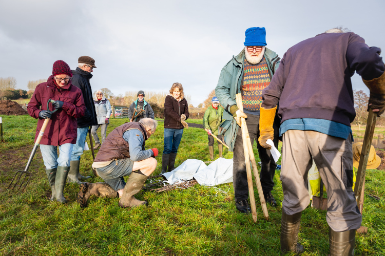 Newton Poppleford Tree Planting WEBSITE IMAGES 750 x 500px (4) volunteers, people clearing plant matter, undercliffs