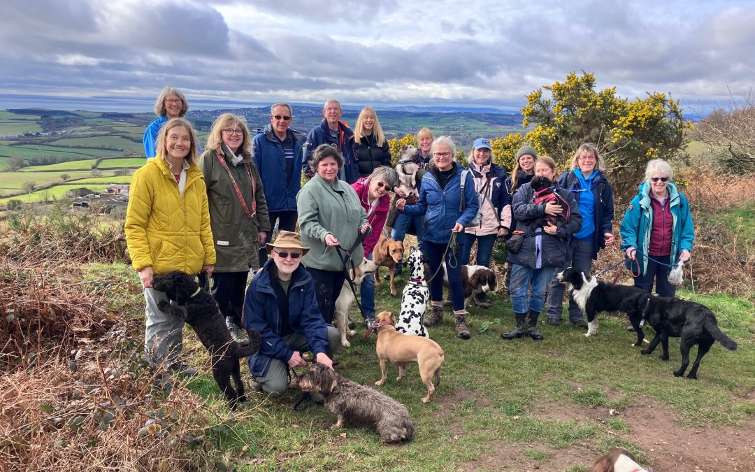 Join Devon’s dog lovers and keep your pets’ paws on paths