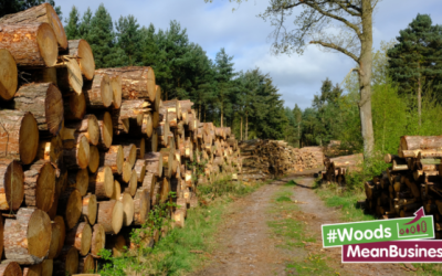 Grow your business with woodland