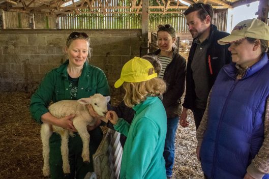 Nicola Westlake holding lamb for Lambing experience at Westy Worzel Manor Mill Farm Branscombe East Devon © Chris Bass Photography scaled 1 529x352